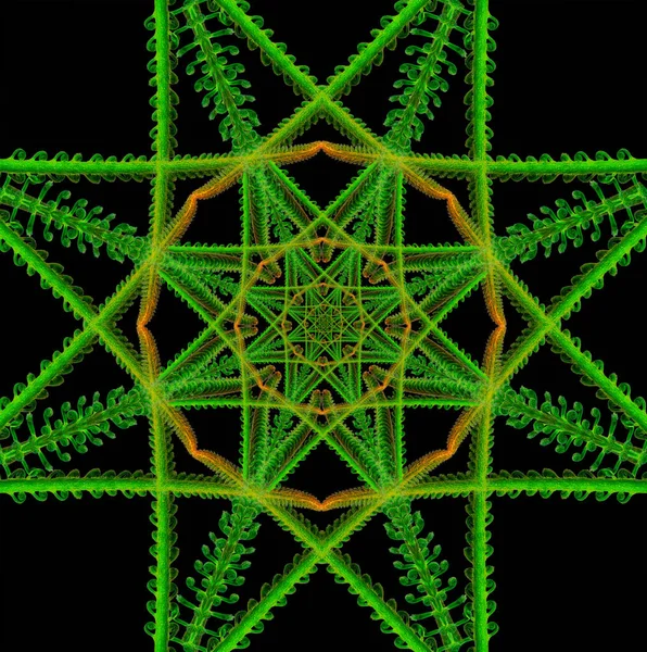 Abstracte symmetrische concentrische vierkante ster patroon van cycad takken — Stockfoto