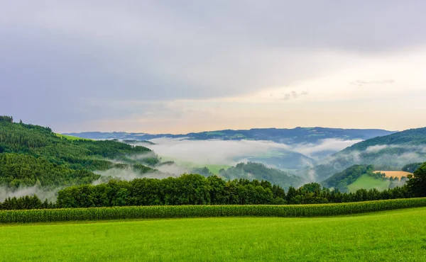 Mistige zomermiddag over een heuvelachtig landschap, groene velden — Stockfoto