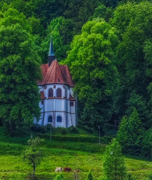 Kostel obklopen svěží zelené velké stromy a dobytek na medovině, barva — Stock fotografie