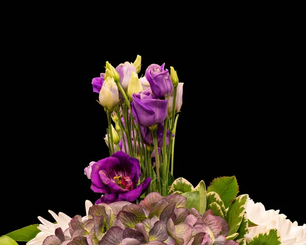 Rosa viola lisianthus bouquet macro, vintage fine art still life — Foto Stock