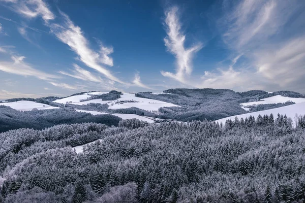 Color winter panorama of a snowy idyllic countryside