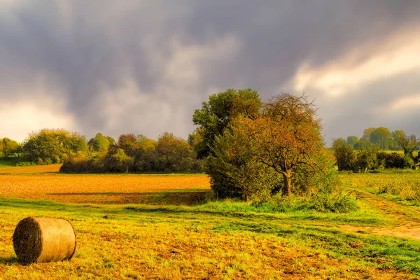 Moody Herfst Landbouwgrond Landschap Met Fort Velden Hooibaal Onder Een — Stockfoto