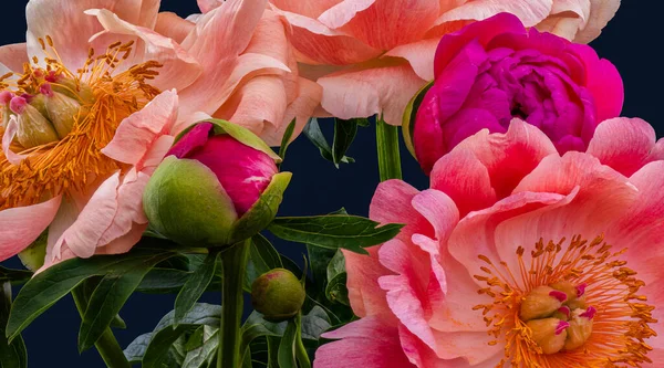 レッド牡丹の芽イナ青の背景にカラフルな花束マクロ 美術ヴィンテージ絵画スタイル — ストック写真