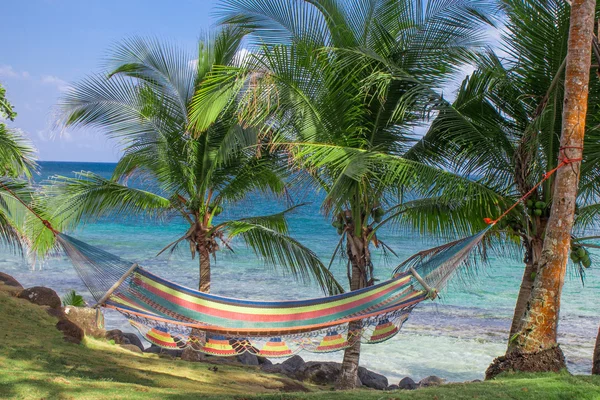 Tropical beach with hammock on palm — Stock Photo, Image