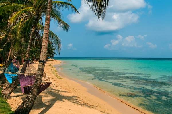 Tropisk strand med hammock på palm — Stockfoto