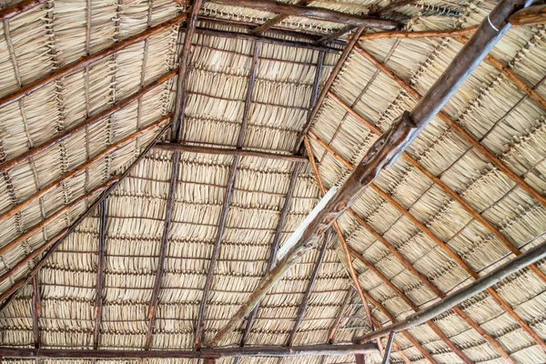 Φυσικό υλικό κατασκευής σκεπής από τη Νικαράγουα — Φωτογραφία Αρχείου