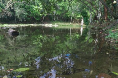 Las Terrazas, Küba'dan Nehri üzerinde doğal Havuzu