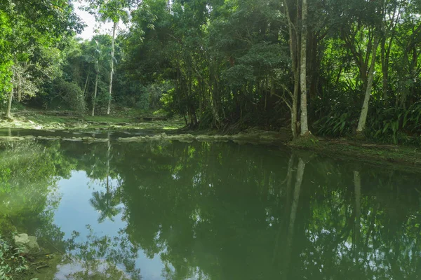 Las Terrazas Kuba Provinz Pinar Del Rio Terrazas Ist Ein — Stockfoto