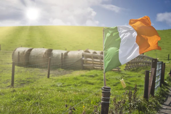 Flaga Irlandii Polu Jasnym Słońcem — Zdjęcie stockowe