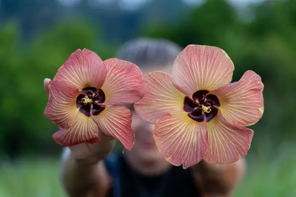 Donna Bionda Che Nasconde Dietro Due Fiori Che Tiene Tra — Foto Stock