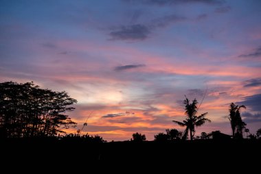 Endonezya 'da bir kır evi ve ağaçların siluetiyle gün batımı