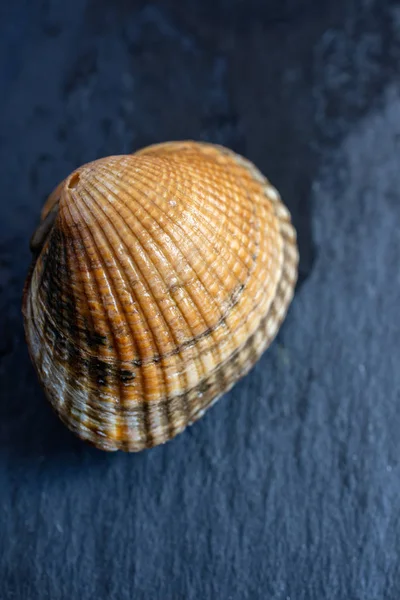 Top View Raw Cockle Dark Wet Slate Background Vertical Copy — Stock Photo, Image