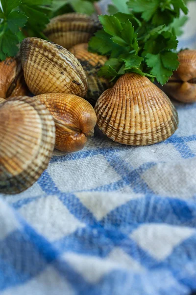 Top View Raw Cockles Parsley Branches White Blue Kitchen Cloth — Stock Photo, Image