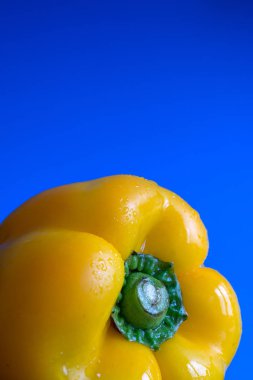 Mavi arkaplandaki ıslak sarı biberin makro yakın plan fotokopi alanı ile dikey hali