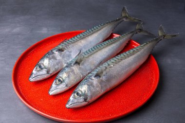 Üç uskumrunun üst görüntüsü, kırmızı plaka ve yatay arkaplan üzerinde