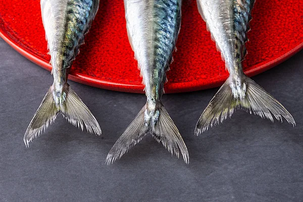 Draufsicht Der Drei Makrelenschwänze Auf Rotem Teller Und Dunklem Hintergrund — Stockfoto