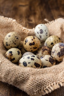 Bıldırcın yumurtalarının üst görünümü, seçici bir odak ile, dikey olarak koyu ahşap masa