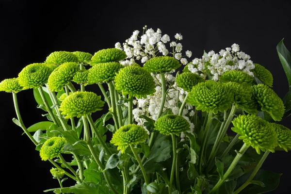 Uitzicht Groene Chrysant Boeket Met Witte Bloemen Zwarte Achtergrond Horizontale — Stockfoto