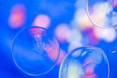 Sudaki makro dünya, mavi arka planda daireler