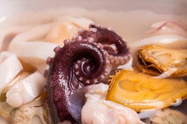 Ahtapotun ıslak kıvrımlı dokunaçları, mürekkep balıkları ve midyeler kavanozda turşu, makro shot.