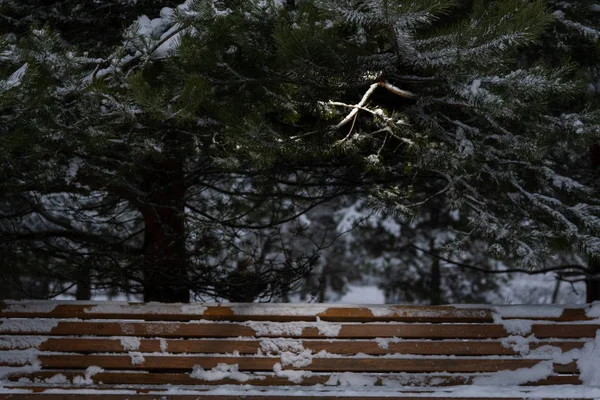 Banco nevado de madeira em um parque de inverno em um fundo de pinheiros nevados — Fotografia de Stock