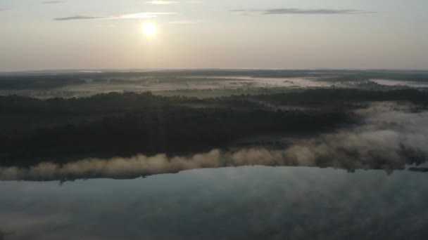 Vuelo Sobre Lago Una Clara Mañana Soleada Amanecer Niebla Verano — Vídeo de stock