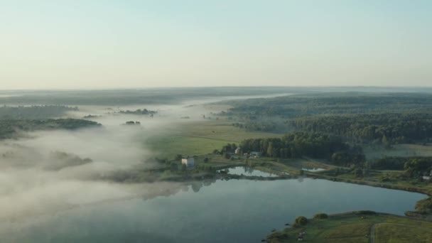 Voando Nascer Sol Nevoeiro Sobre Lago Floresta Dia Verão — Vídeo de Stock