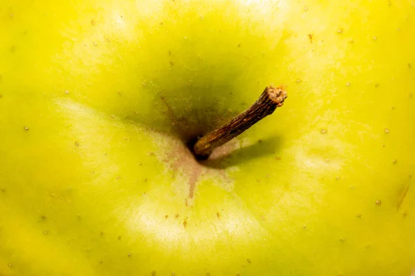 Élénk zöld alma szár közelkép a központban. — Stock Fotó