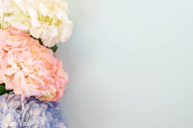 Mavi arka planda beyaz, pembe ve mor ortancalar