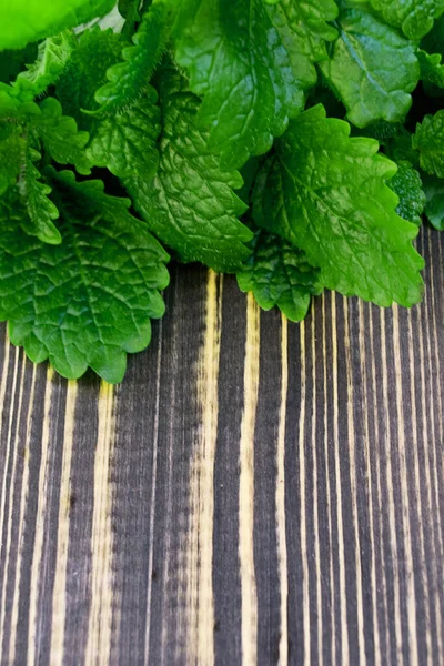 Свіжа зелена меліса на дерев'яному фоні — стокове фото