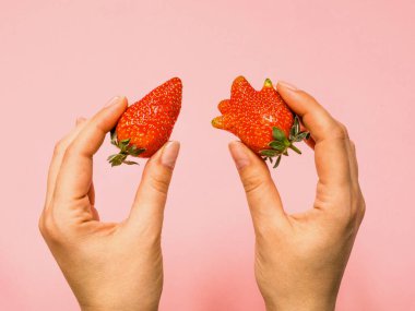 Kadınların elinde olağan ve çirkin çilek, seçim konsepti.