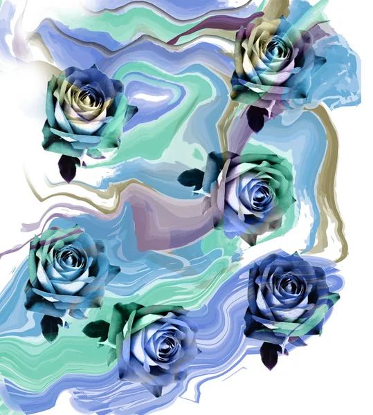 Rose Blume Muster Hintergrund — Stockfoto