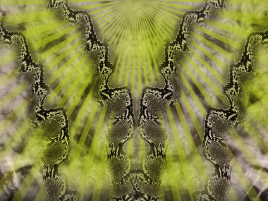 Yeşil yılan deri arka plan