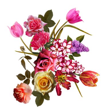 renkli çiçek ve bitki arka plan