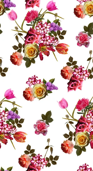 Kleurrijke bloemen en plant achtergrond — Stockfoto