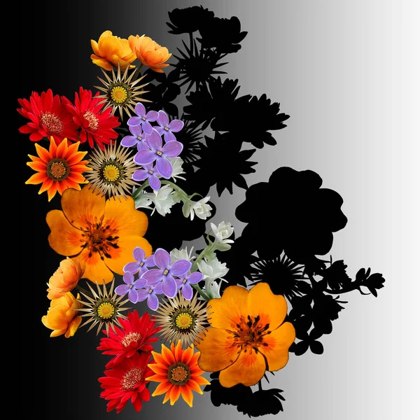 Fleurs colorées et le fond de la plante — Photo