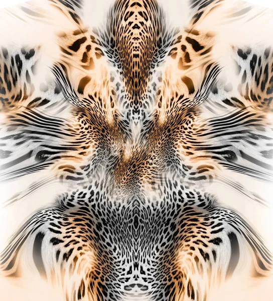 Animal léopard peau fond — Photo