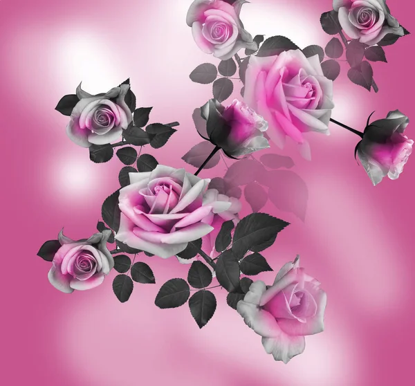 Romantic pink flowers  background — Stock Photo, Image