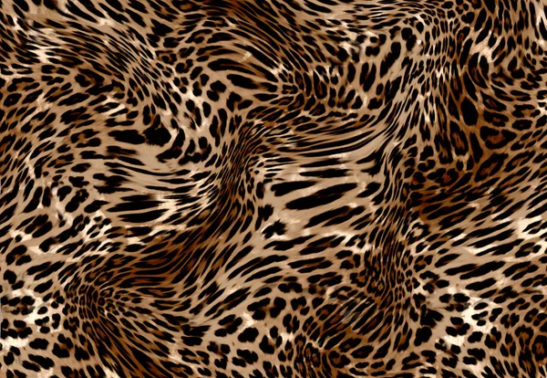 Animal leopardo couro fundo — Fotografia de Stock