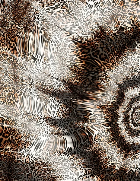 hayvan Leopar deri arka plan