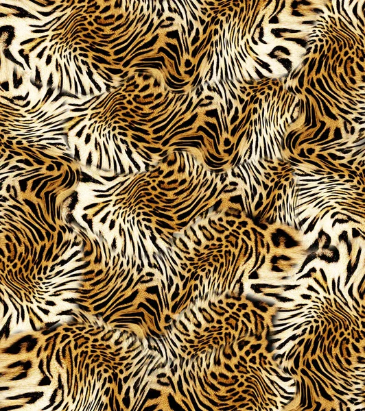 animal leopard skin background