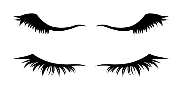 Eyelashes on white background — Stock Vector