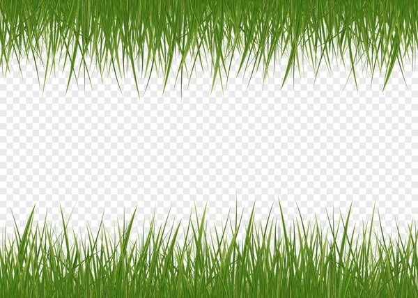 Realistisches grünes Gras — Stockvektor