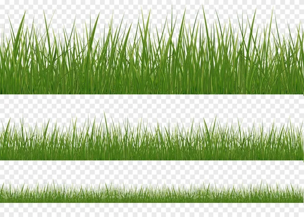 Césped verde realista — Vector de stock