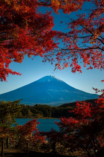 Monte Fuji outono — Fotografia de Stock