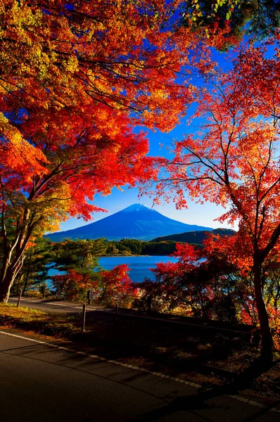 stock image Mt Fuji autumn