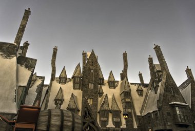 Harry Potter Dünyası