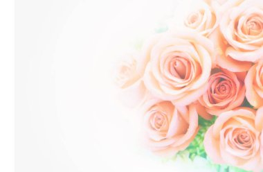 Güzel çiçek arka plan / duvar kağıdı renk filtreleri ile yapılan 