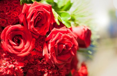 Güzel çiçek arka plan / duvar kağıdı renk filtreleri ile yapılan 