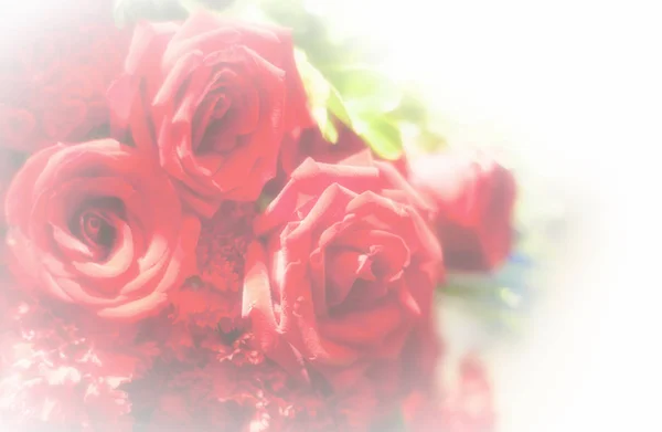 Красивий квітковий фон / шпалери з кольоровими фільтрами — стокове фото
